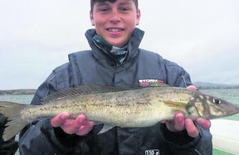 The King George whiting from the Tamar River are huge, as Tyson Digney found out!