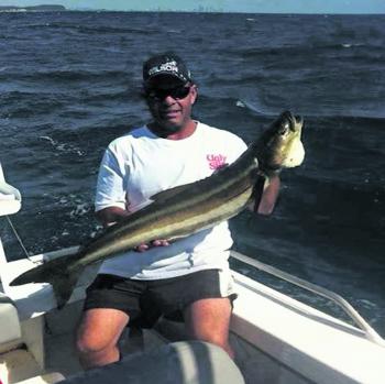 Cobia have also been in good numbers in close.