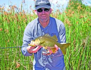 Walking surface lures are still catching plenty of bass, such as this 40cm Bellinger specimen.