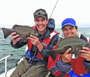 Pete and Ant from thefishinghub.com.au with a few JB pigs, just two of more than 140 they caught and mostly released over a magic three days in late Spring.