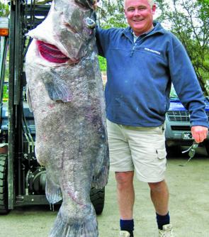 Peter Ryan took this giant bass groper of 74kg off the southern side of Browns Mountain in 1200’.