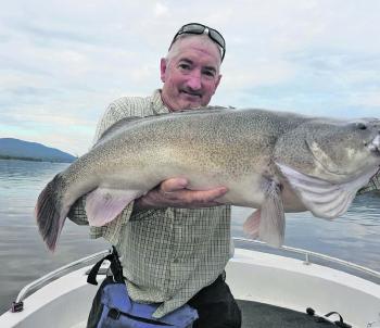 Lake Nillahcootie is another option for Victorians, and that’s where Mick Caulfield caught this healthy cod.