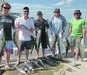 A mixed bag of yellowtail kingfish, amberjack and trag caught on a day the fish chewed well.