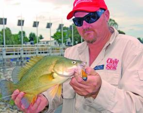 Brett Evans with a typical golden perch from the Kerang Lakes, taken on a 60mm X-Ray Blade.