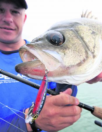 Small lures can be extremely effective, so ensure you have a wide variety at your disposal.