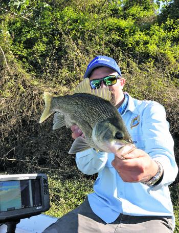 Some great bass fishing has been had after the fresh at the beginning of the season. Surface lures will be the most fun this month.