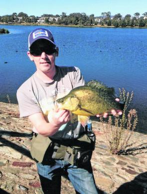 Nathan Walker with a golden perch taken on his second cast with a new fly, Nathan's Naughty, in Lake Yerrabi.