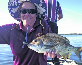 The bottom lake been firing with big yellowfin bream.