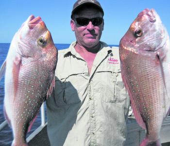 Quality snapper like this pair will be around in November.