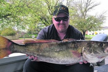 Clint Northcott and his lovely mulloway of 8kg. More of these better fish are expected through August!