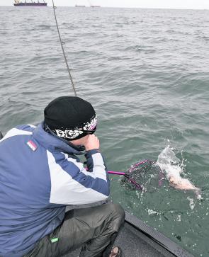 The combination overcast skies and relatively choppy conditions, coupled with a tide change, are often the trigger for plenty of action in the shallows. 