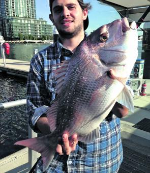 It’s hard to believe snapper are available as far upriver at Docklands. Joey Regali snared this fine specimen on an unweighted pilchard during the lead up to the new moon. 