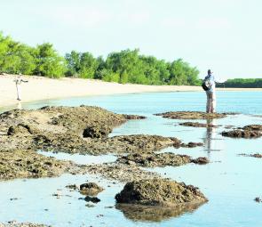 Shore based fishing works a treat at Weipa. 