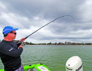 The long rods provide great shock absorption and allow a fantastic spread of baits out the back of the boat.