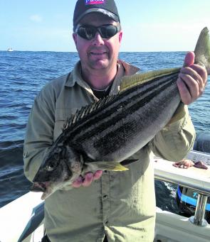 Striped trumpeter are a solid adversary and make for a great feed at the end of the day.