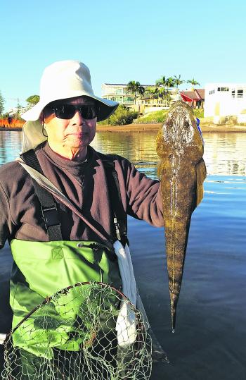 Joseph Fong found some solid Redcliffe flathead.