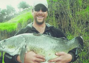 Happiness is a fat Murray cod. Abundant food in most fisheries has resulted in spectacular fish growth.