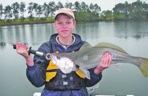 Will Duncan with what the Clarence River is famous for, a beautifully proportioned school mulloway.