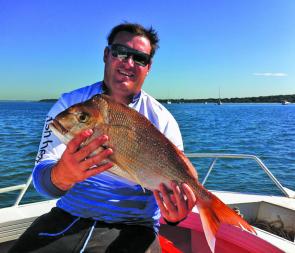Snapper at this size are great fun on hardbodies.