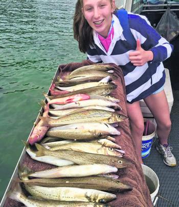 Hopefully this is the start of many productive years of whiting fishing after many of the commercial nets were removed in the last month!