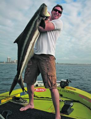 Massive cobia are tough no matter what the tackle but this fish was landed during a tailor spinning session on tailor gear.