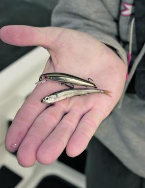 Match the hatch no matter where you are – here the bait is matched by a Presso Minnow.