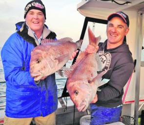 Good sized snapper like these are becoming the norm. Photo courtesy Matt Cini.