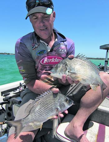 Paul Albery with a pair of decent bream extracted from the lower leases. There is always flathead by-catch to keep for the table.