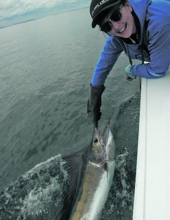 Marlin are on anglers’ minds this month, and by January there should be plenty of beakies around for game fishers.