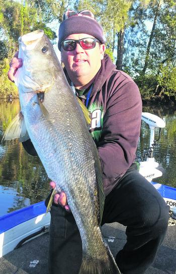 The author caught this 96cm jewfish on a small Strike Pro Hummer vibe, before tagging and releasing it for Fisheries research. 