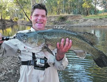 Brett Corker with his 81cm Murray cod that he caught on a homemade spinnerbait on what was a truly memorable evening of fishing. 