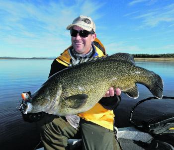 Micheal Geary with a great Copeton cod caught on a Percy the Perch Swimbait.
