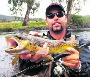 The reliable Tumut River has been producing some beautiful fish this season. Fish of this size have been far more common than they have for quite some time. With only a month left in the trout season there has never been a better time to go out and get so