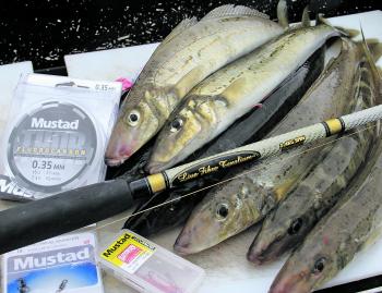 Using tackle that suits what the fish want at any time of the year is vital for success with whiting.