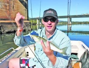 More welcome bream by-catch: Tom Shortt with a plastic-munching whiting.