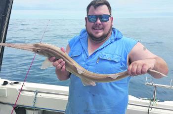 Zachary Paton with his surprise sawshark.