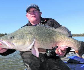 The cod had just come back on the chew before the big flows shut them down again and the season ended with a whimper. 