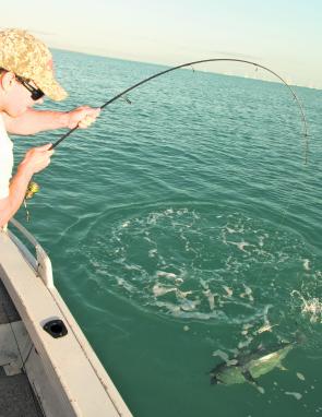 So close! And now the over-riding urge is to heave the fish into the boat…but how? Should you tail it, net it or gaff the tuna?
