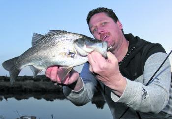 Nat Barry has been catching estuary perch on small soft plastic lures around dusk.