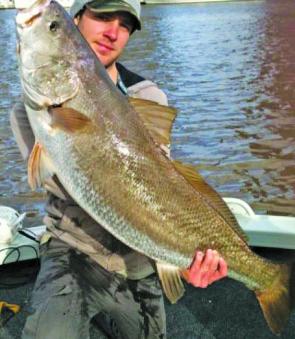 Mulloway are the big attraction in the Yarra for the dedicated angler.