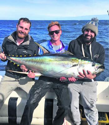 The boys on Opatunatee have been scoring some chunky yellowfin off Batemans.