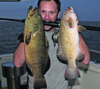 A pair of nice trout caught poppering at dusk around shallow reef.