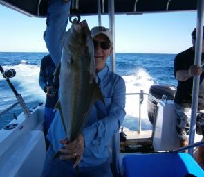You will find yellowtail kingfish in similar areas to big pearlies and knobbies.