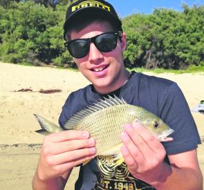 Daniel Maugeri caught bream and whiting amongst the swimmers in North Harbour.