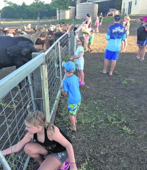 If you have the tin lids with you, an afternoon feeding the farm animals is a must do. They’ll also collect eggs from the chooks, play with the farm dogs and learn all about life on the farm.