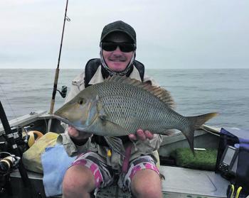 The author with a nice spangled emperor at Fidos caught on a plastic. 