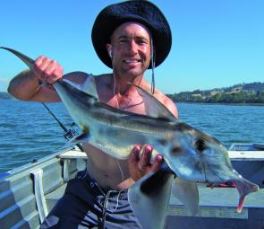 Damon Sherriff with a typical elephant fish from the Tamar this season.