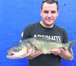 Doug Kaegi with a very healthy salmon taken while spinning lures down at Gunnamatta.