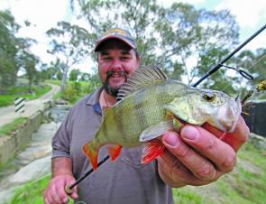 A tiny Wooragee Creek redfin photographed by Lindsay Knowles. Lindsay actually caught the fish but didn’t want to be photographed with it! 