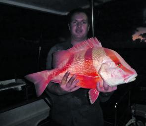 Red emperor come in all shapes and sizes and are a pleasure to catch at any time on anovernighter.